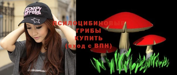 МДМА Коряжма