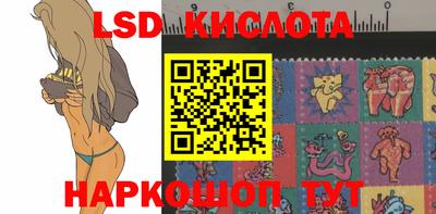 шишки Гатчина