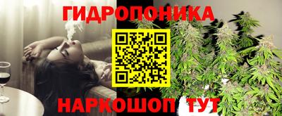 гашиш Будённовск