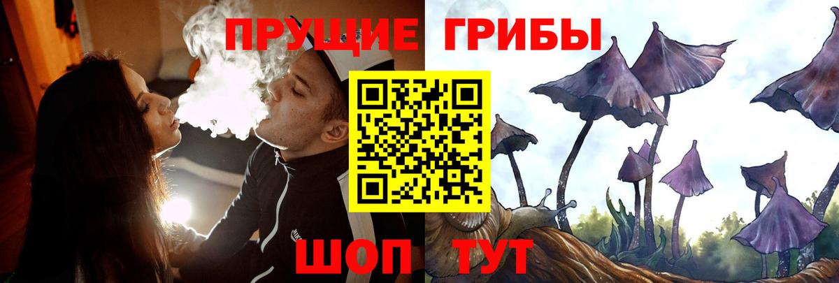 Галлюциногенные грибы ЛСД  Вход с VPN  Волгодонск 